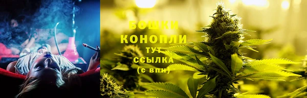 стафф Бородино