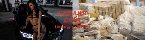 стафф Бородино