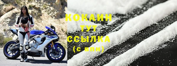 стафф Бородино