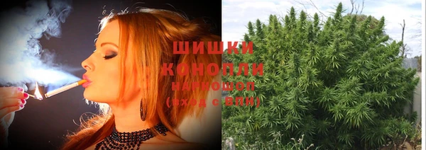 стафф Бородино