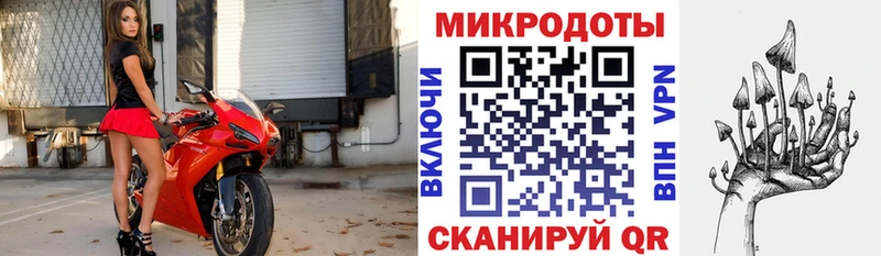 Псилоцибиновые грибы мицелий  хочу   Горняк 